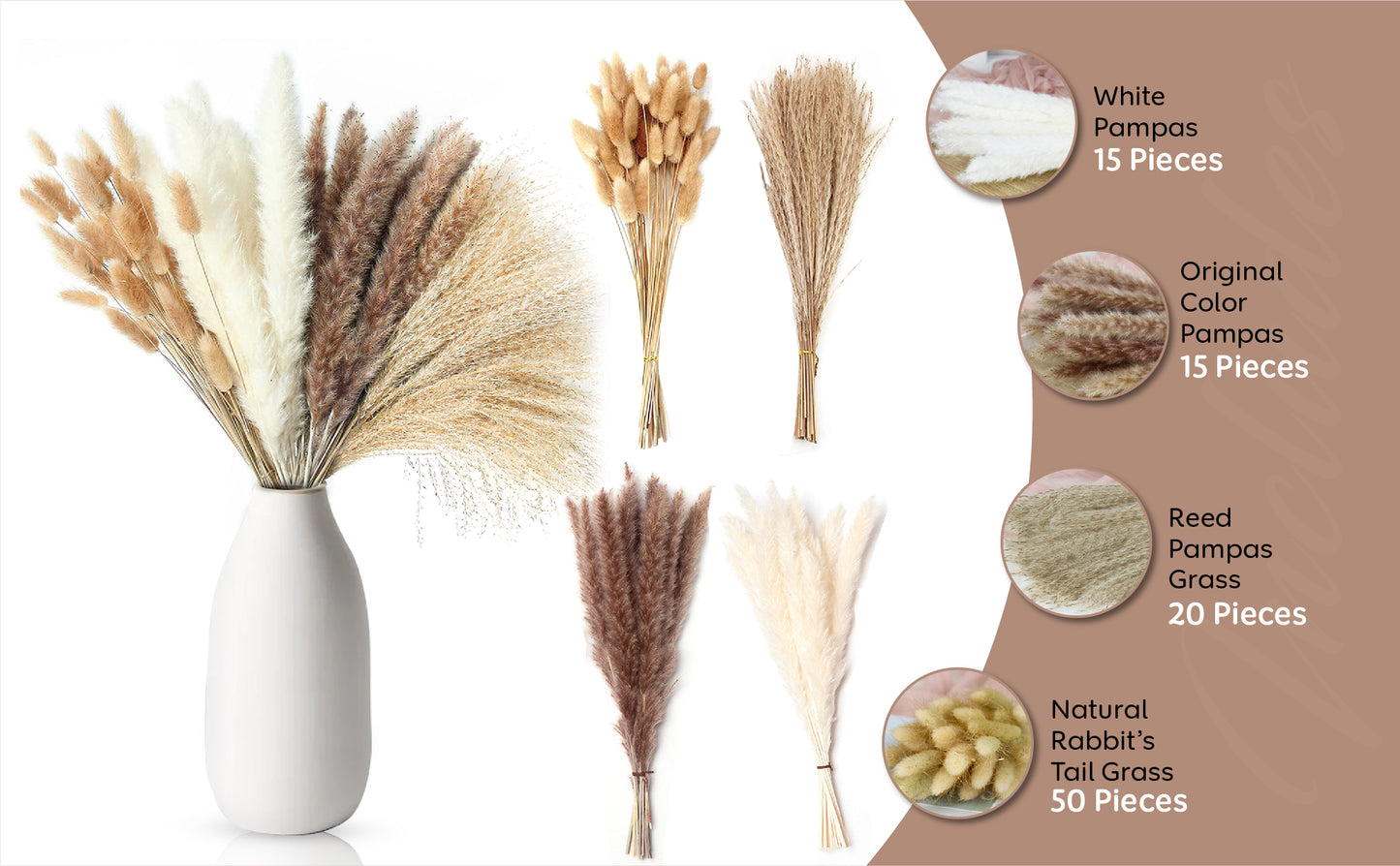 17 Inch Long Dried Pampas Grass - 100 pcs