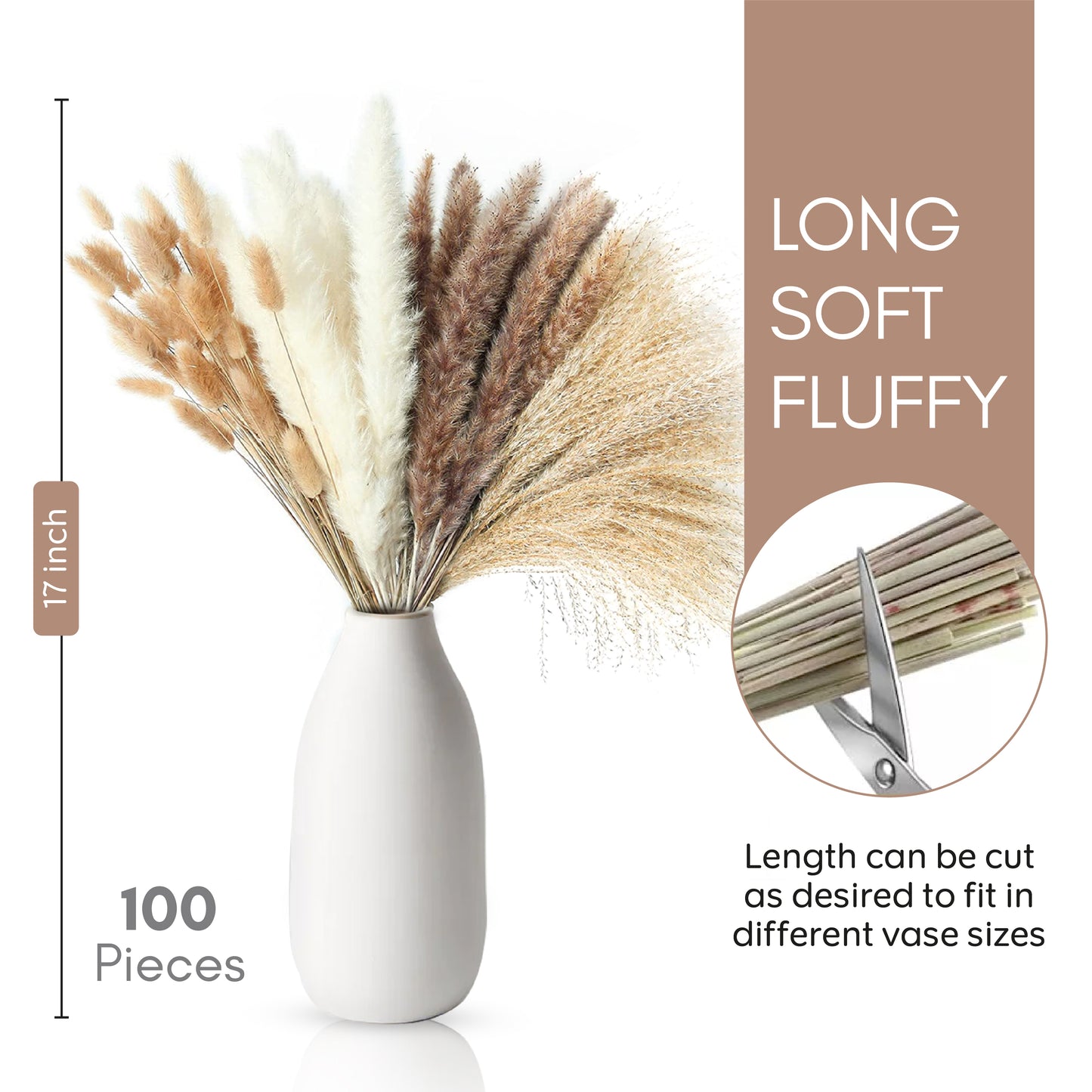 17 Inch Long Dried Pampas Grass - 100 pcs